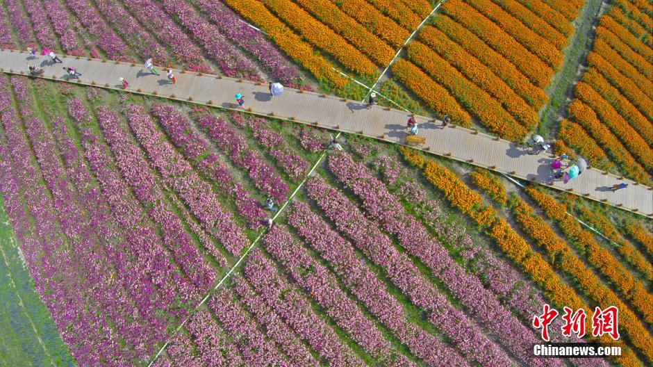 "???? ??????" ???? ??? ??????? ?? ??? ??????