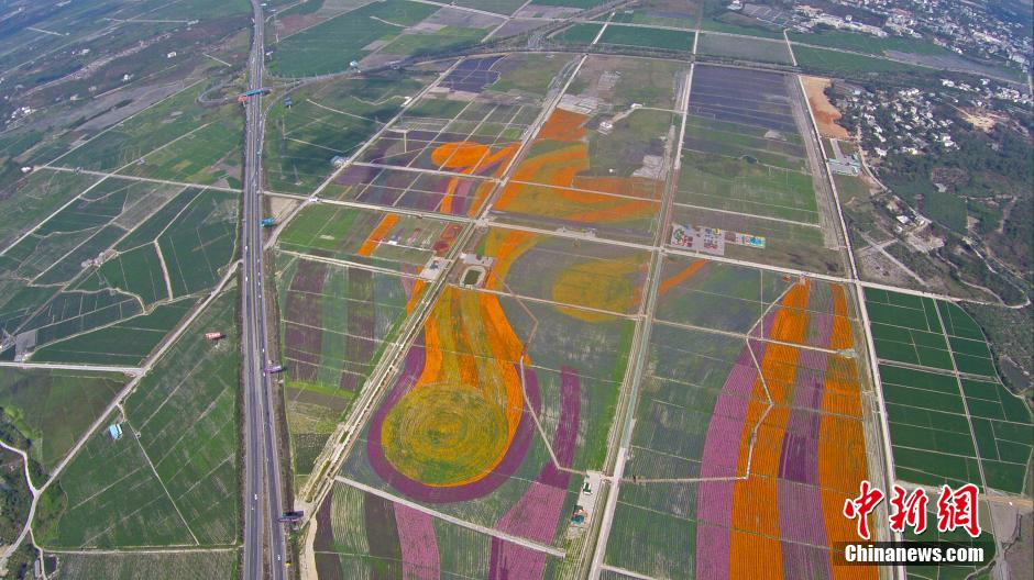 "???? ??????" ???? ??? ??????? ?? ??? ??????