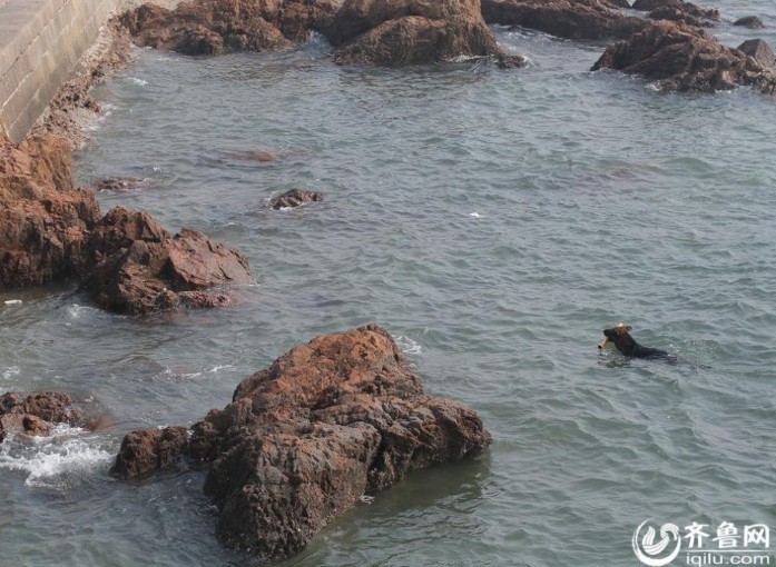 ??? ???? ???? ?? ????? ????? ??????