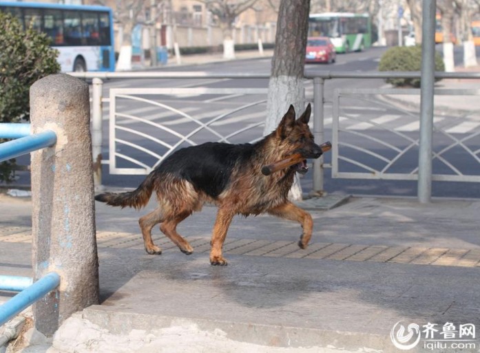 ??? ???? ???? ?? ????? ????? ??????