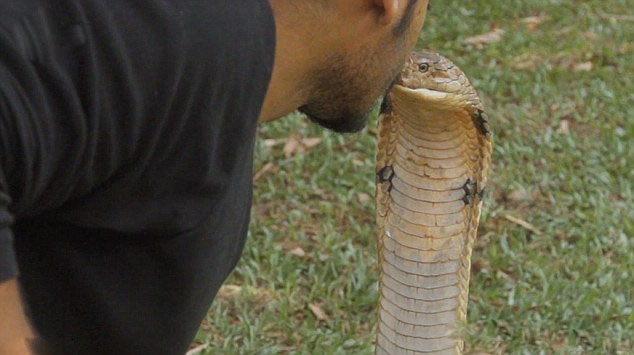 "???? ????????".. ??? ??????  ???? ????? ?????? ??????