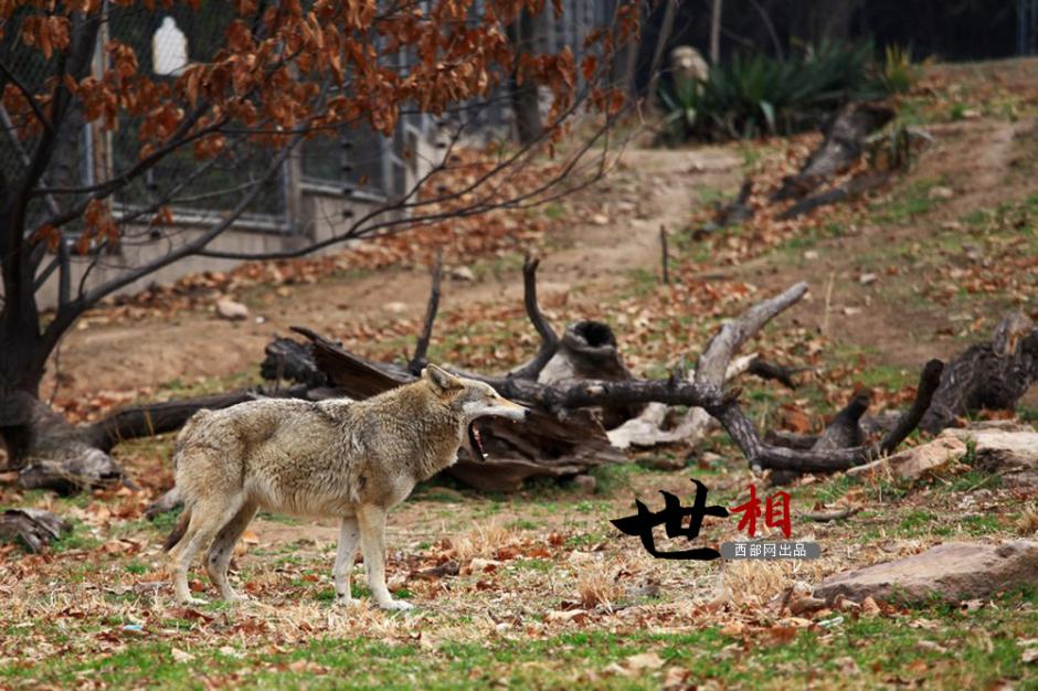 ??? ??????: ???? ?????? ?? ????? ??????? ???? ??????