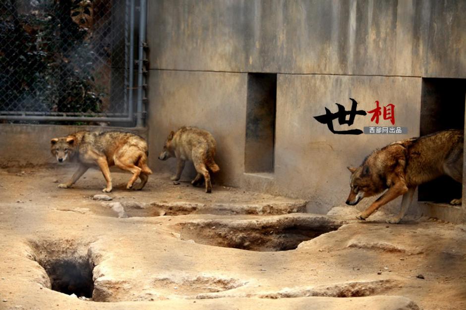 ??? ??????: ???? ?????? ?? ????? ??????? ???? ??????