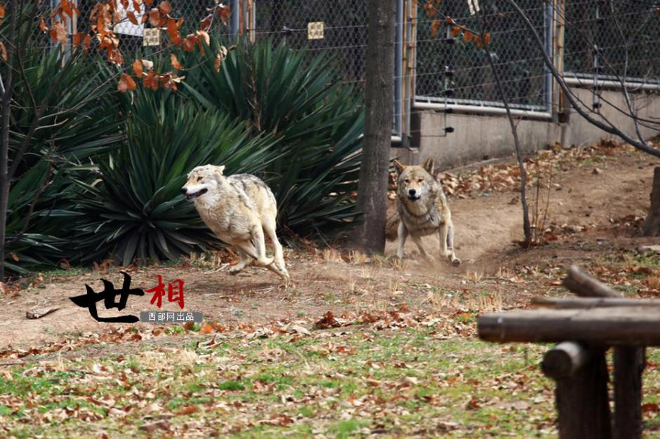 ??? ??????: ???? ?????? ?? ????? ??????? ???? ??????