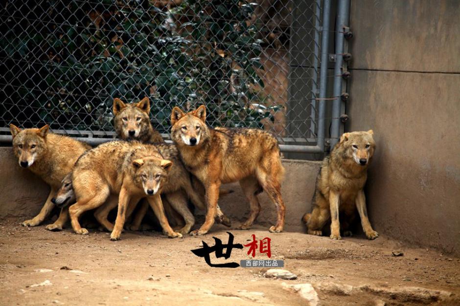 ??? ??????: ???? ?????? ?? ????? ??????? ???? ??????