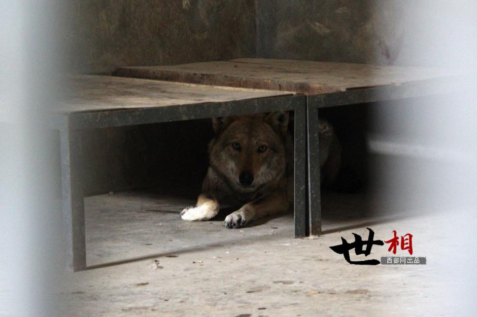 ??? ??????: ???? ?????? ?? ????? ??????? ???? ??????