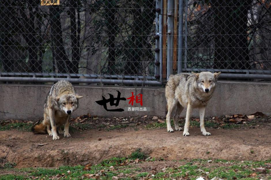 ??? ??????: ???? ?????? ?? ????? ??????? ???? ??????