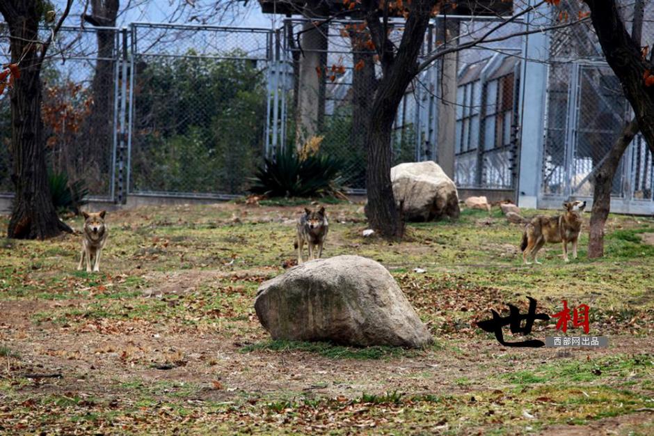 ??? ??????: ???? ?????? ?? ????? ??????? ???? ??????