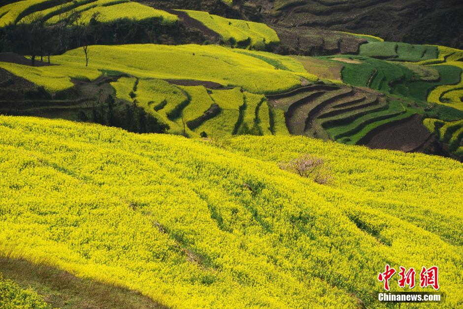 ??????? ??????? ???? ??? ?? ???? ???????? ?? ?????