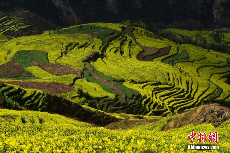 ??????? ??????? ???? ??? ?? ???? ???????? ?? ?????