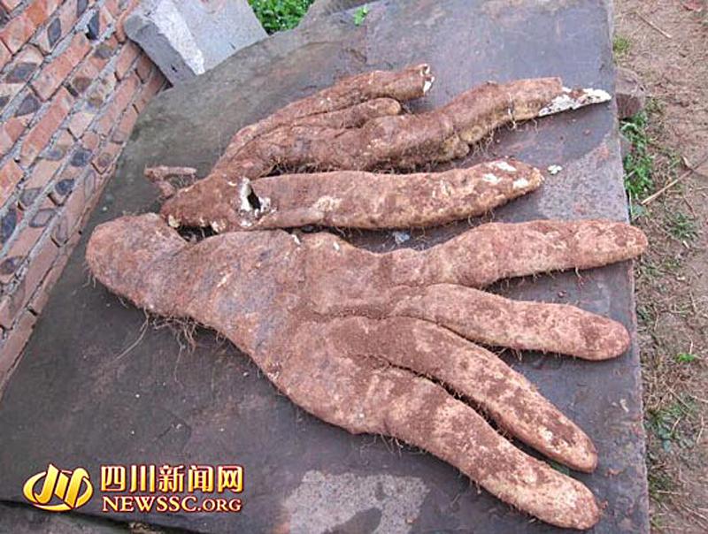 ????  ??? ???? ?? ??????.. ???? ??? ????? ???????