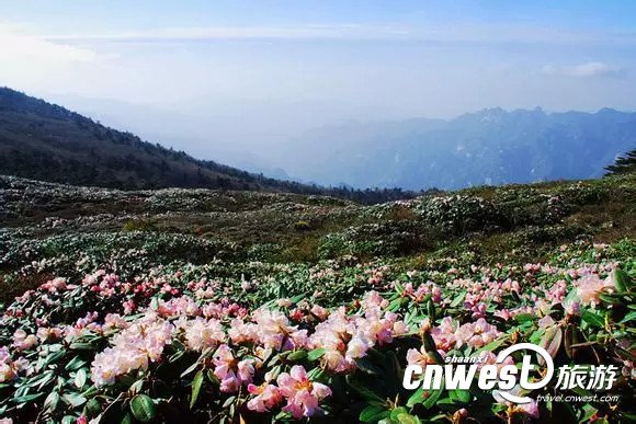 ?????? ????? ?????? ????? ??????? ??? ????? ????? ?????? 4A ?? 18 ????