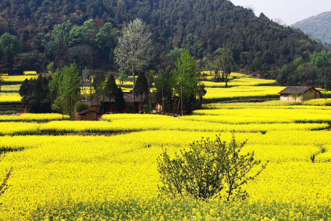 ????? ???????? ?????? ????? ??? ?? ???? ???????? ?? ?????