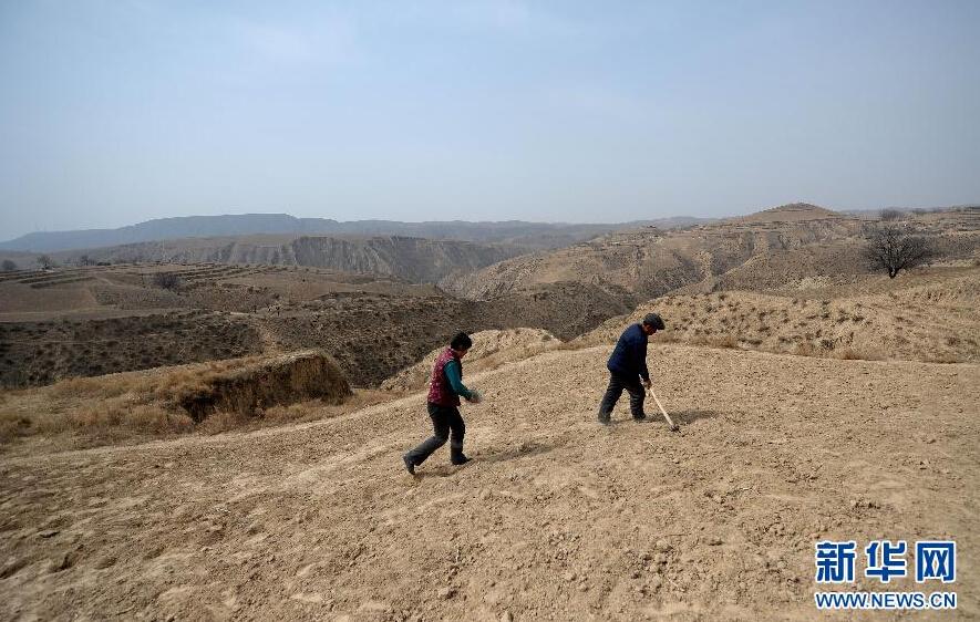 ??? ??????: ???? ????? ?????? ???