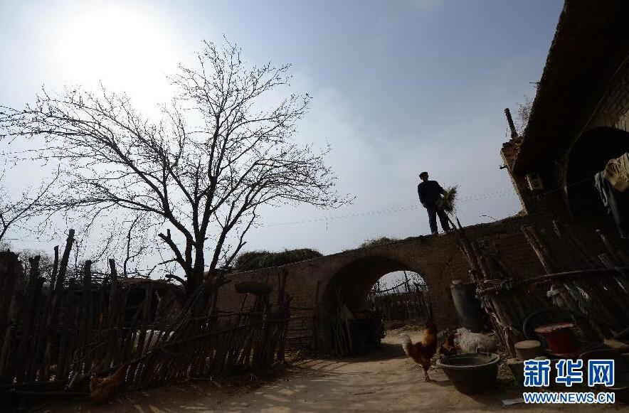 ??? ??????: ???? ????? ?????? ???