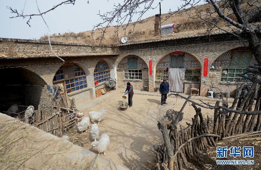 ??? ??????: ???? ????? ?????? ???