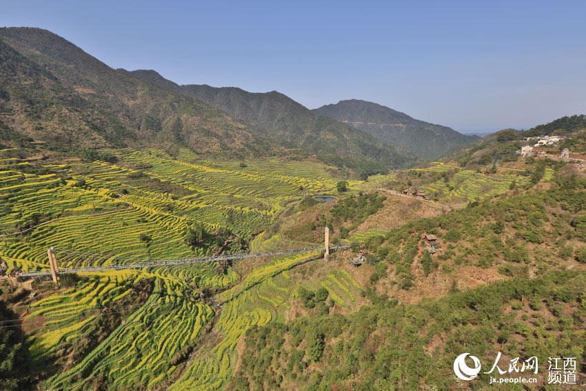 ???? ???? ?????? ?? ???? ??????? ?????