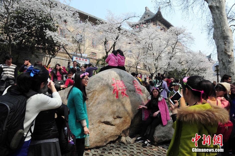 ???? ???? ?????? ?? ???? ??????? ?????