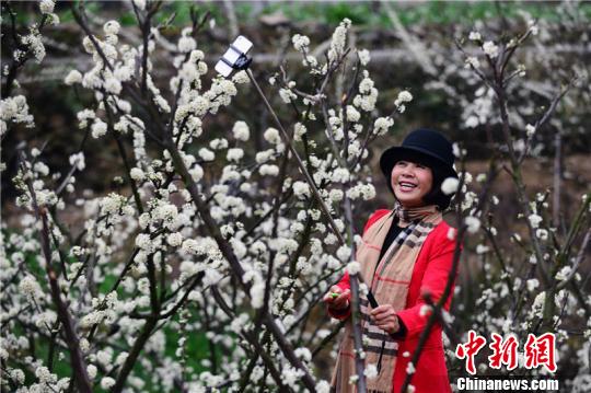 ???? ???? ?????? ?? ???? ??????? ?????