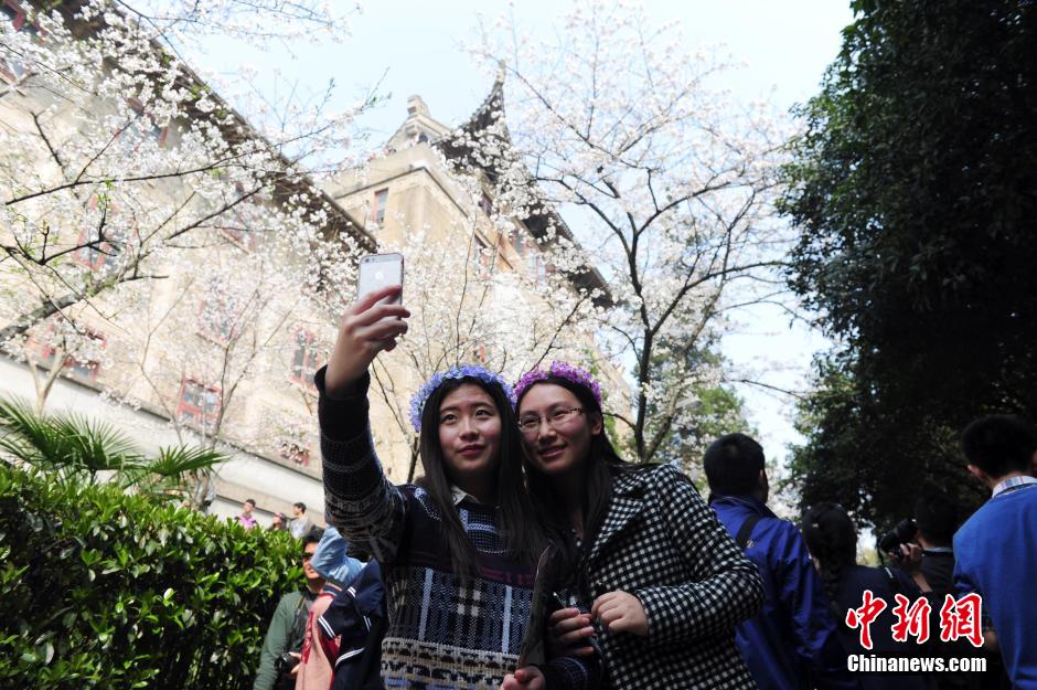 ???? ???? ?????? ?? ???? ??????? ?????