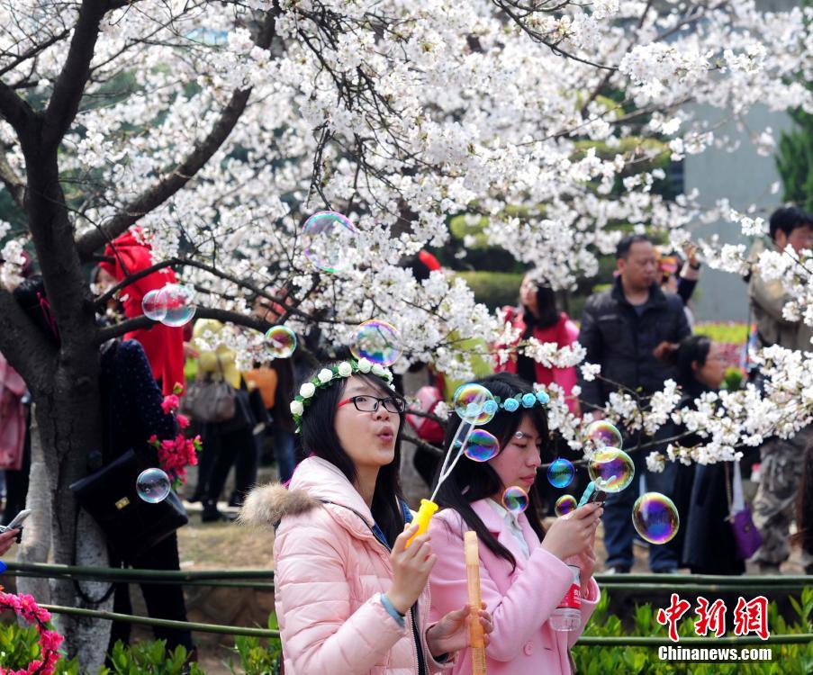 ???? ???? ?????? ?? ???? ??????? ?????