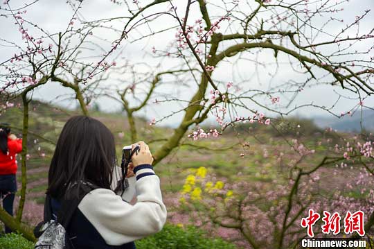 ???? ???? ?????? ?? ???? ??????? ?????