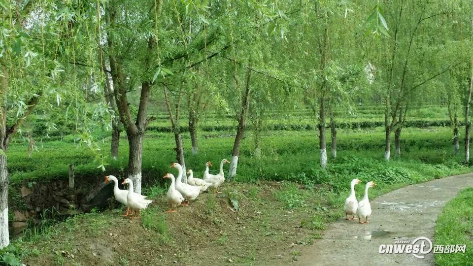 ???? ?????? ?? ?????? ???????? ??????? ???? ??????