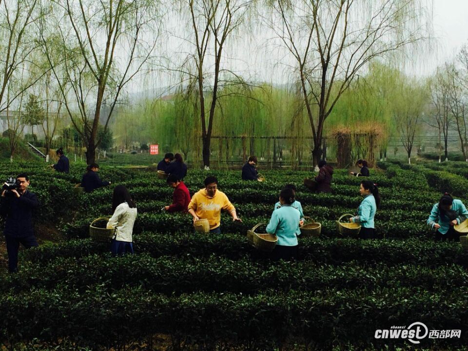 ???? ?????? ?? ?????? ???????? ??????? ???? ??????