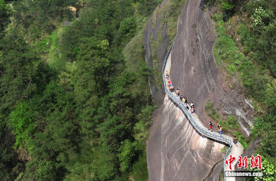 ?????? ????? ???? ????? ??? ???? ????? ????