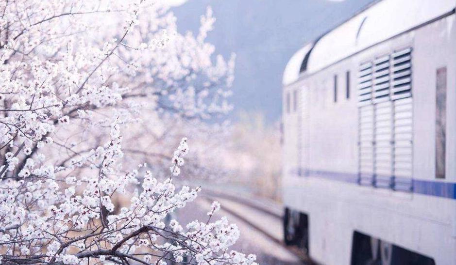 ?????? ???: ???? ??? ??????