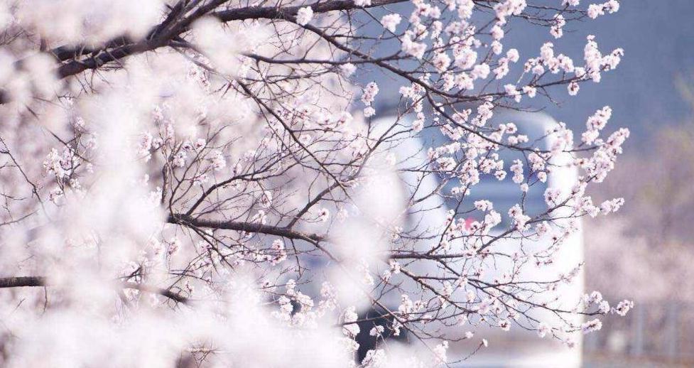 ?????? ???: ???? ??? ??????