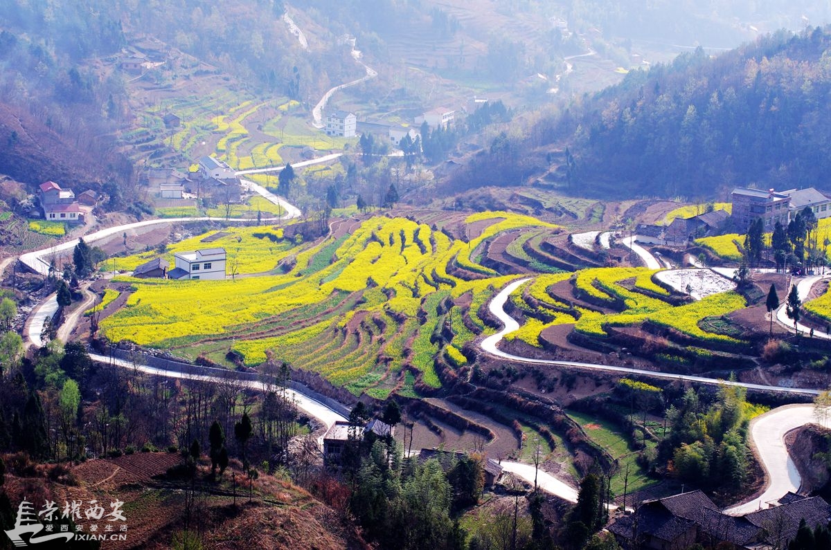 ???? ??????? ???? ? ? ???? ???? ?? ?????? ??????