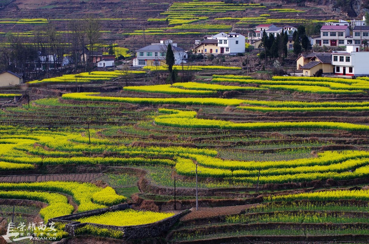 ???? ??????? ???? ? ? ???? ???? ?? ?????? ??????