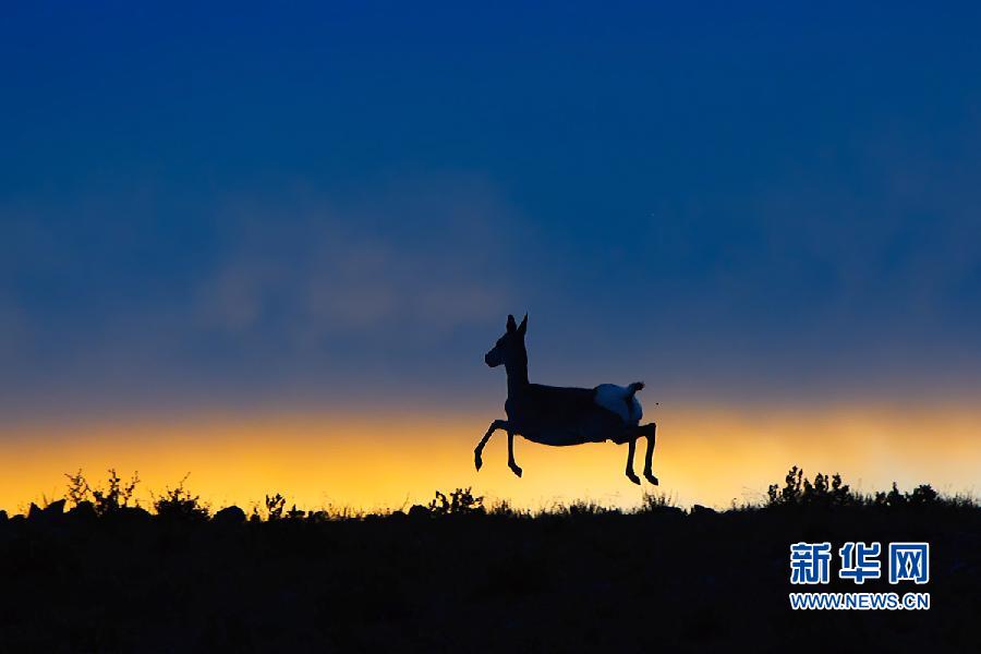 ???..?? ???? ????? ??????? ?? ?????!