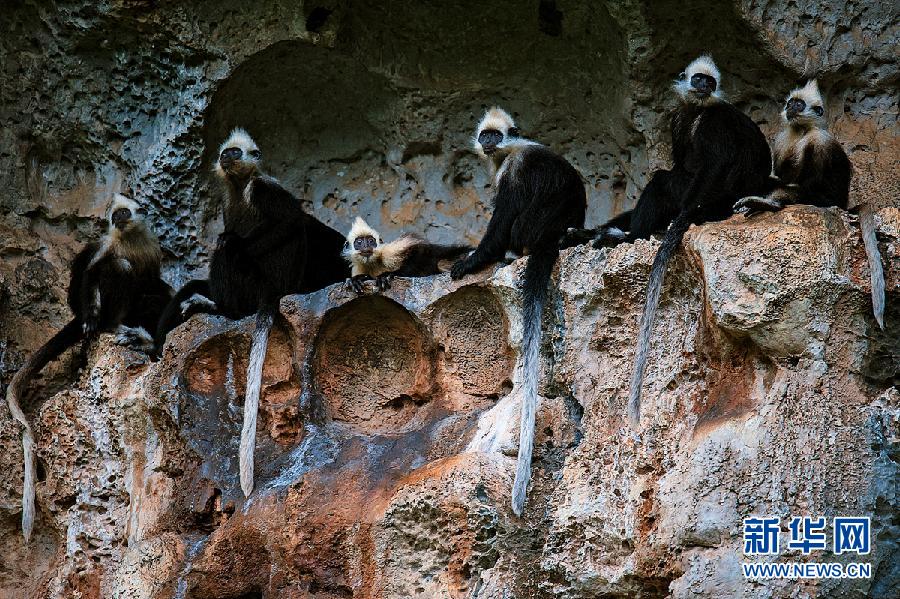 ???..?? ???? ????? ??????? ?? ?????!