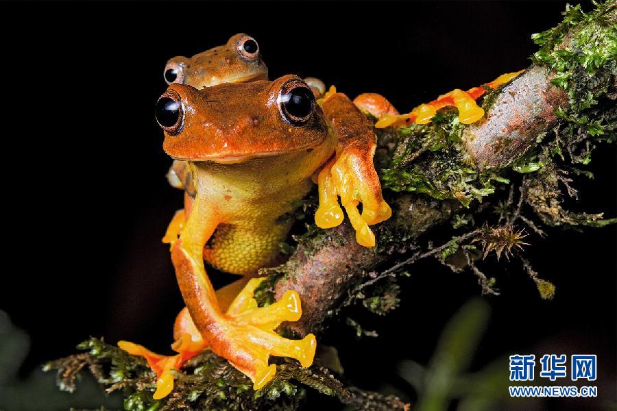 ???..?? ???? ????? ??????? ?? ?????!