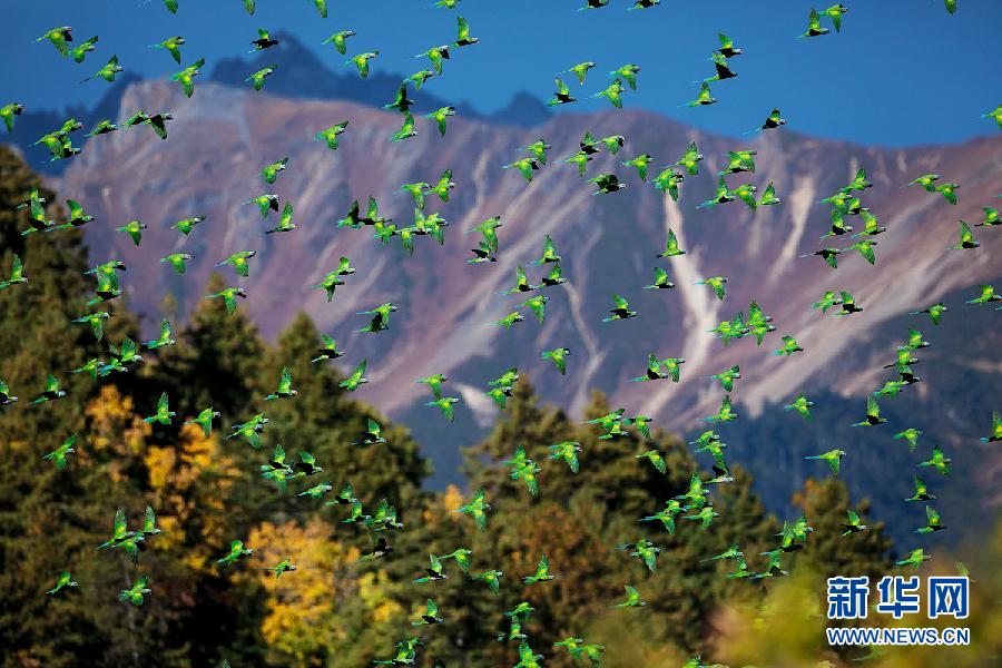 ???..?? ???? ????? ??????? ?? ?????!