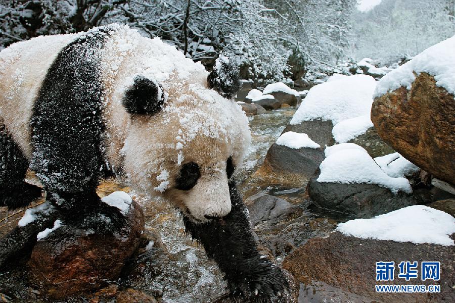 ???..?? ???? ????? ??????? ?? ?????!