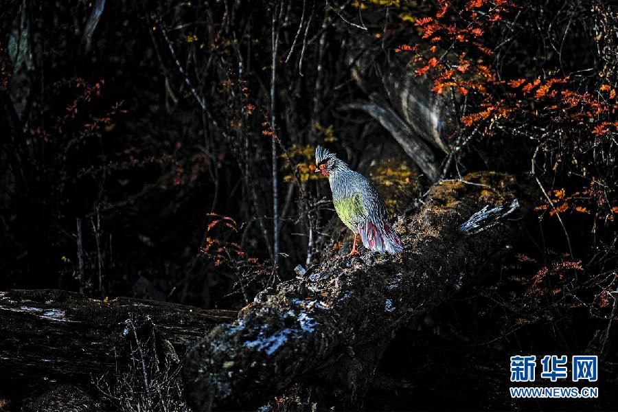 ???..?? ???? ????? ??????? ?? ?????!