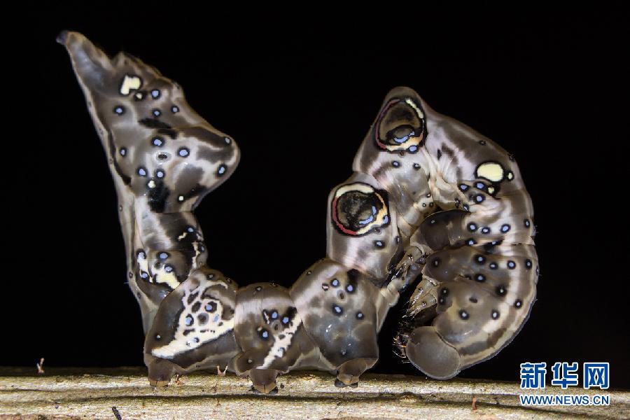 ???..?? ???? ????? ??????? ?? ?????!