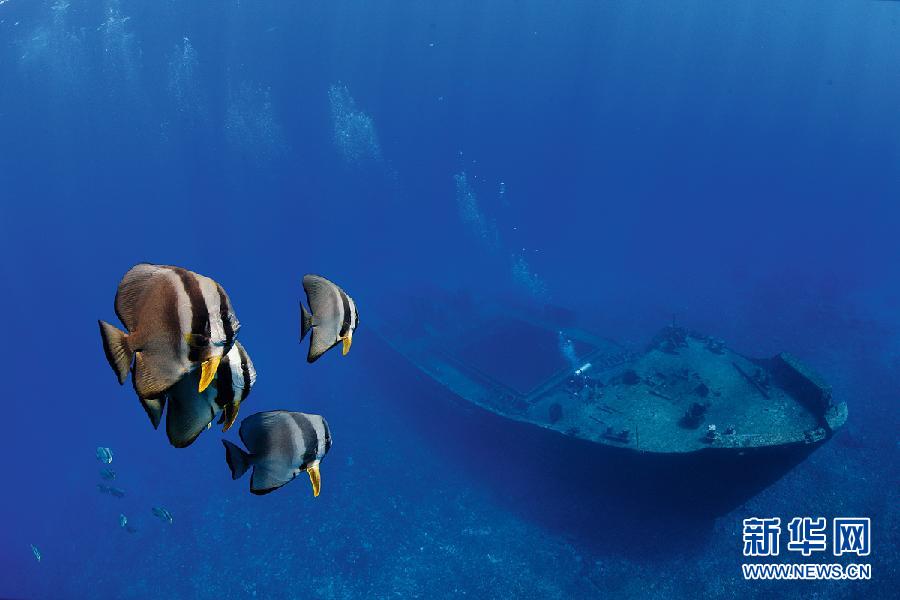 ???..?? ???? ????? ??????? ?? ?????!