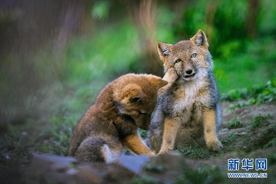 ???..?? ???? ????? ??????? ?? ?????!