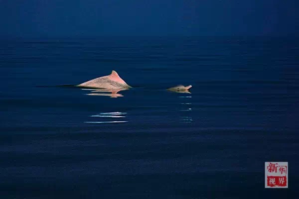 ???..?? ???? ????? ??????? ?? ?????!