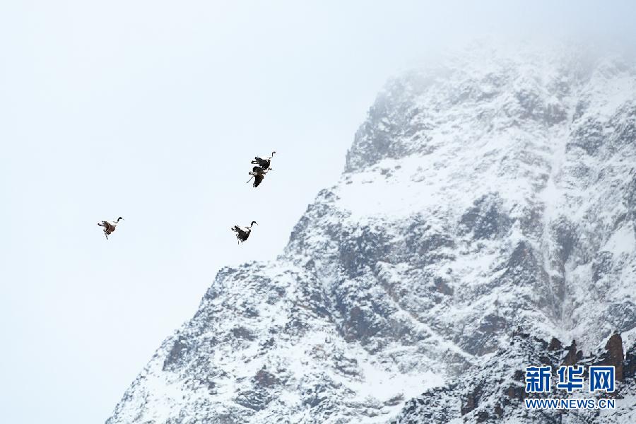 ???..?? ???? ????? ??????? ?? ?????!