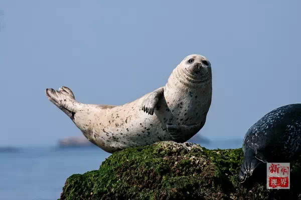 ???..?? ???? ????? ??????? ?? ?????!