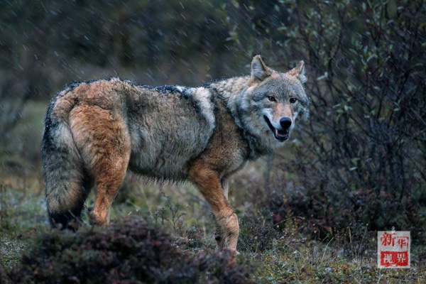 ???..?? ???? ????? ??????? ?? ?????!