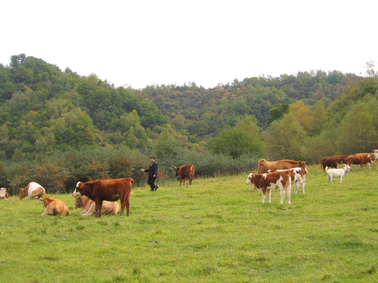 ???? ???? ??? ?????? ?????