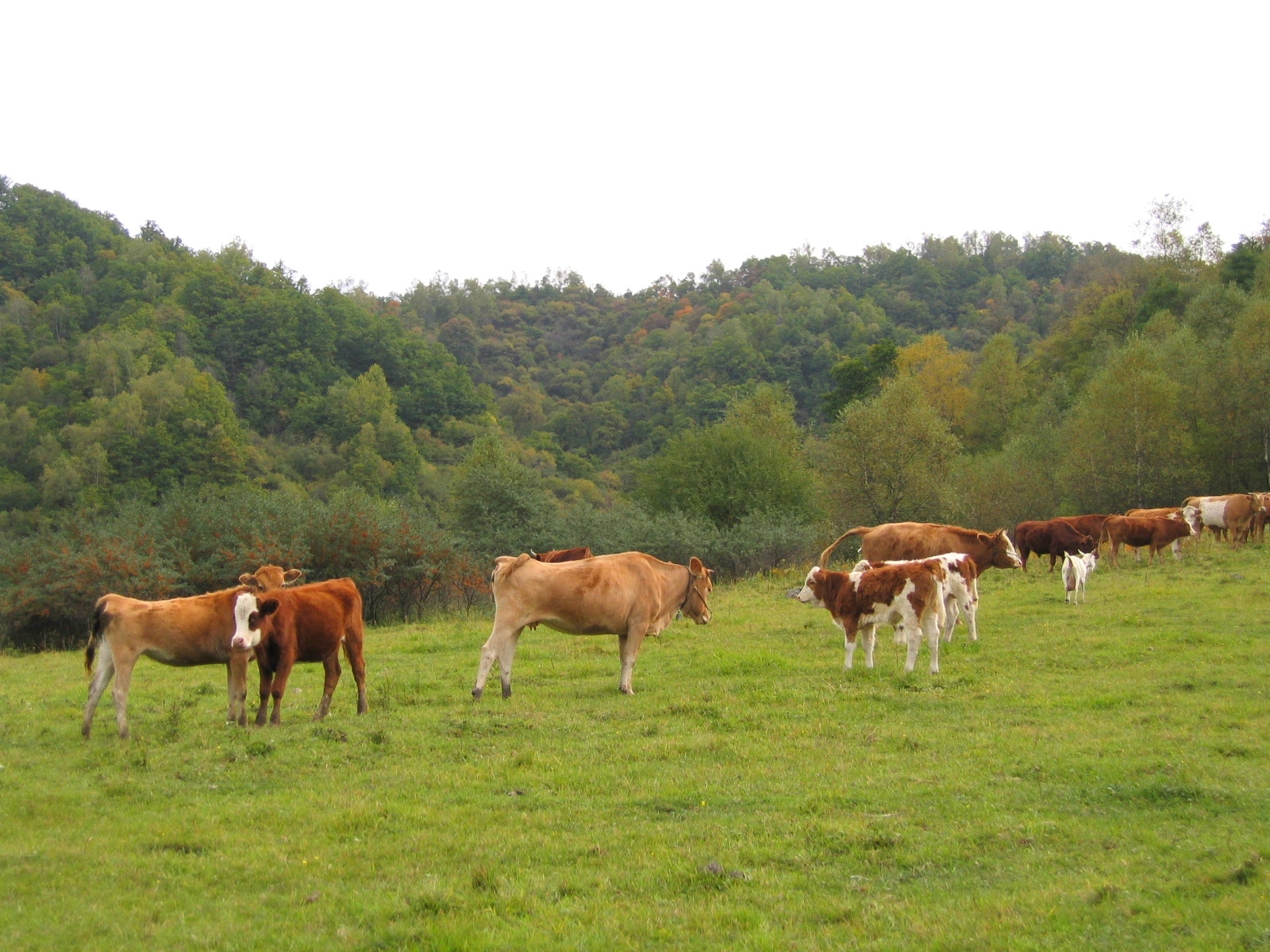 ???? ???? ??? ?????? ?????