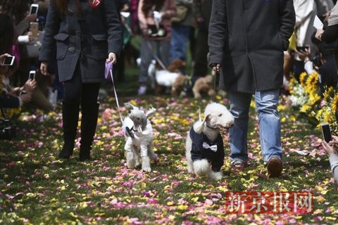 ????? ??? ??? ???? ????? ????????? ??????? ?? ?????