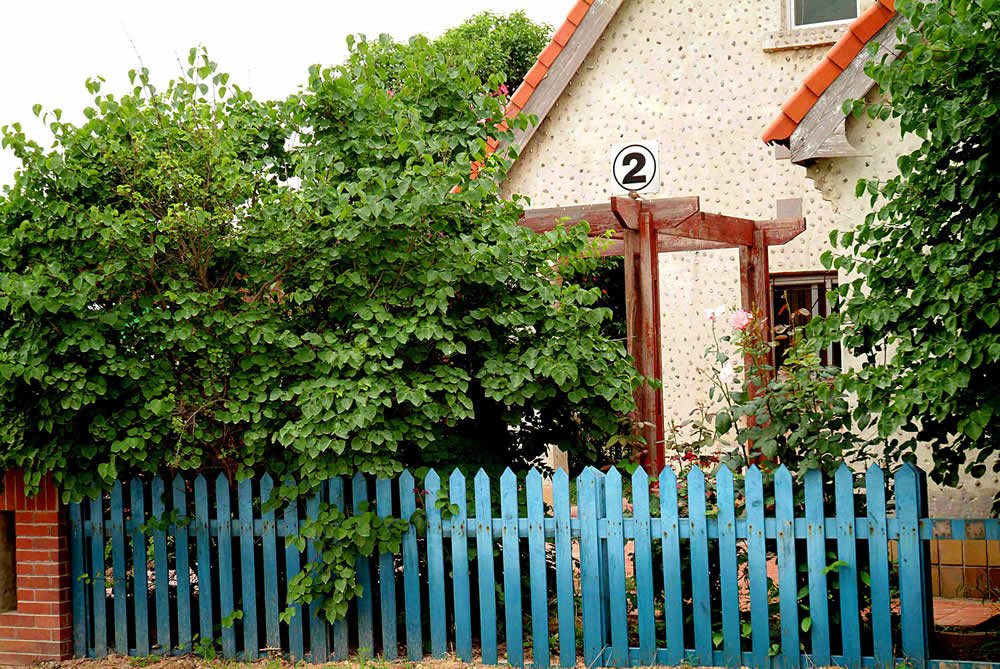 ???? ?????? ???????? ?? ?????? ??????